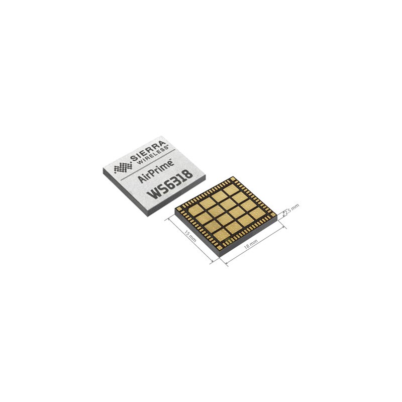 Wireless-Module: WS6318